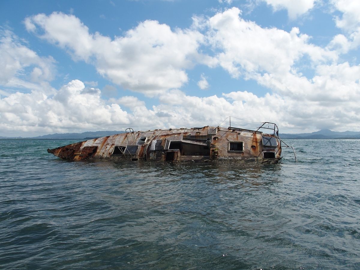 hajoroncs Martinique